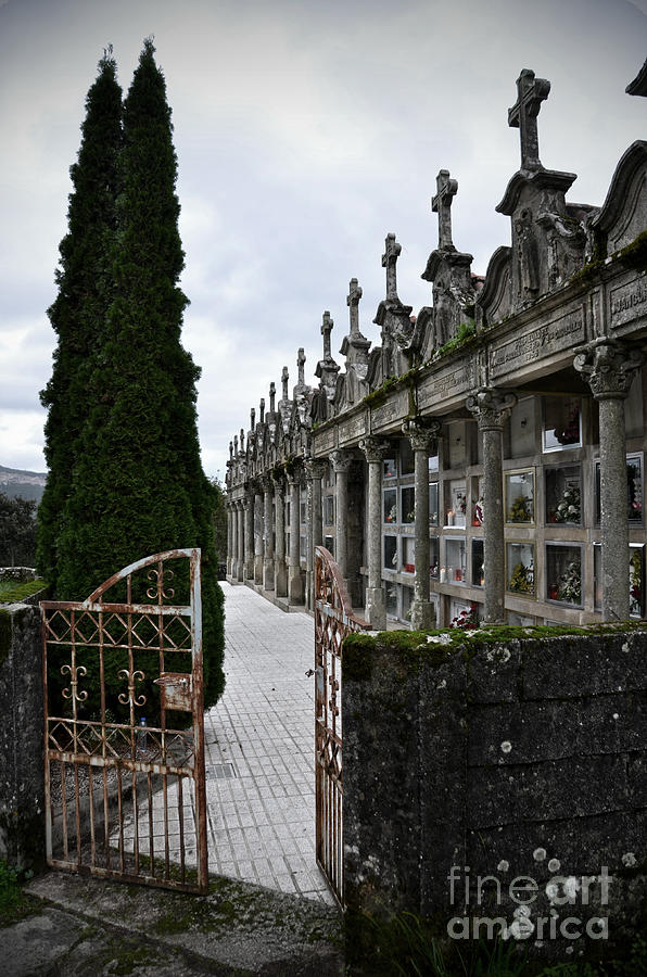 Flower Photograph - Cemetery in a small village in Galicia by RicardMN Photography