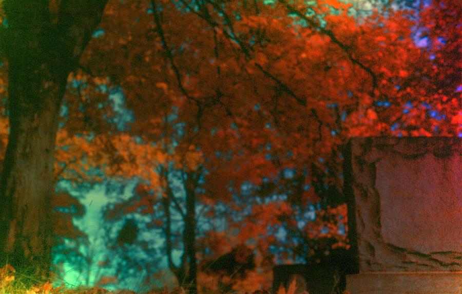 Cemetery in Autumn Photograph by Lanita Williams