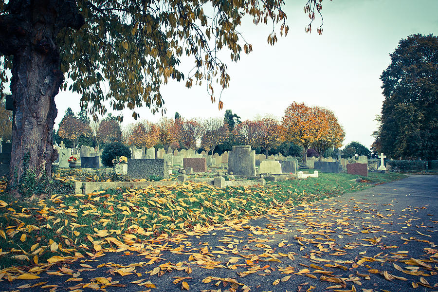 Fall Photograph - Cemetery in autumn by Tom Gowanlock