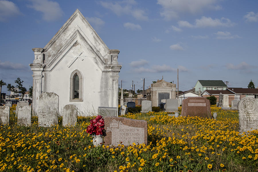 Cemetery in Galveston TX Photograph by John McGraw