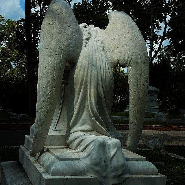 Houston Photograph - Cemetery In Houston. Name Escapes Me by Gia Marie Houck