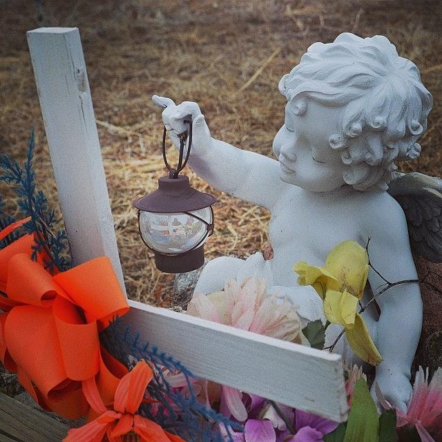 Flower Photograph - Cemetery In La Jara, New by Gia Marie Houck