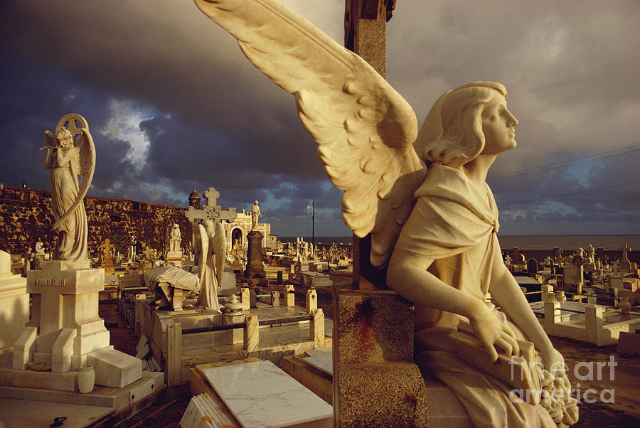 Cemetery In San Juan, Puerto Rico Photograph by Farrell Grehan