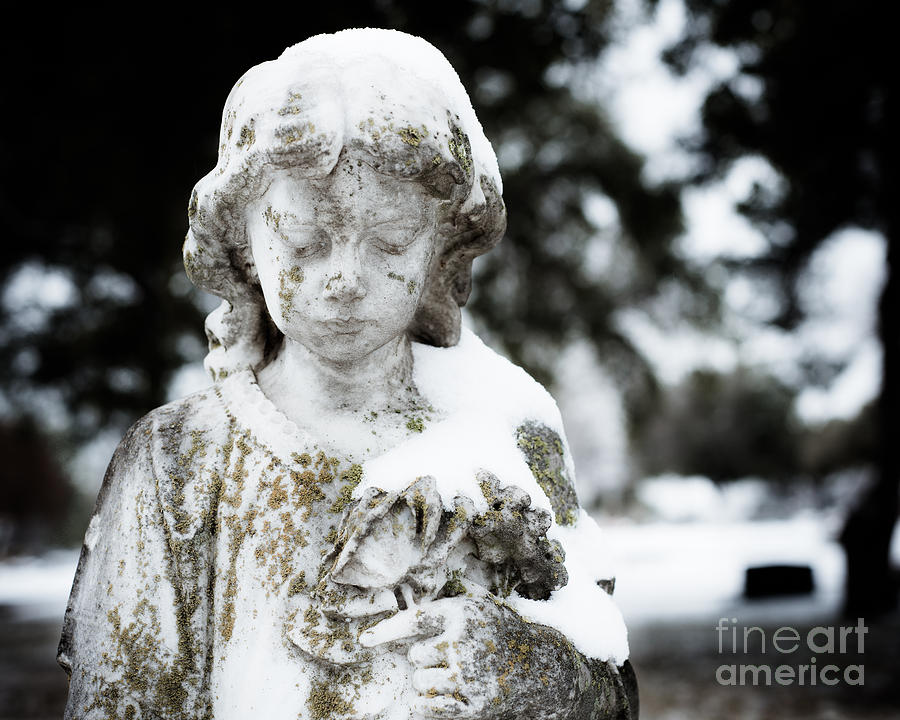 Winter Photograph - Cemetery Snow by Sonja Quintero