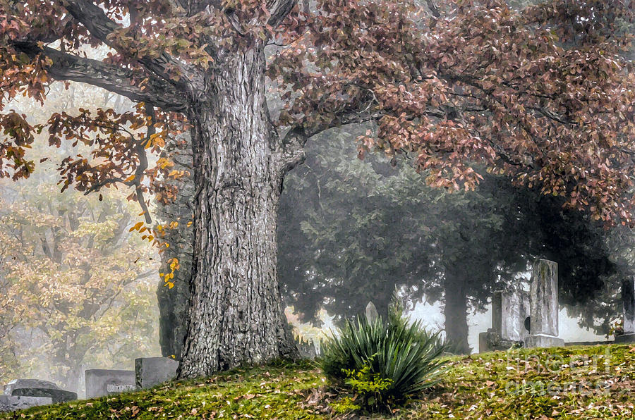 Tree Photograph - Cemetery Stillness by Kerri Farley