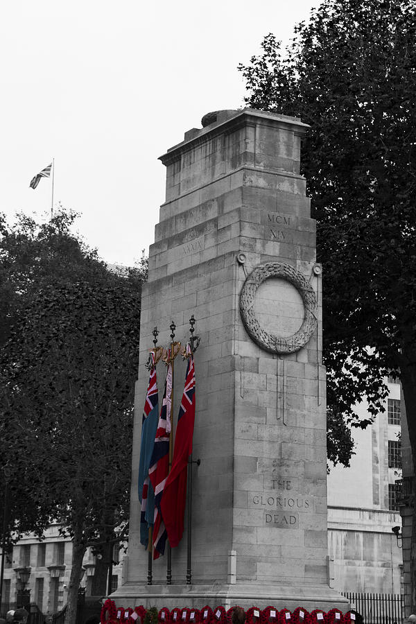 Cenotaph Poppy Day  Photograph by David French