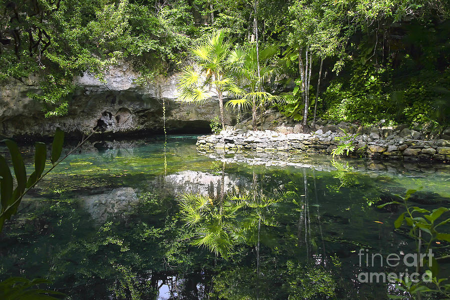 Cenote in Akumal Photograph by Teresa Zieba