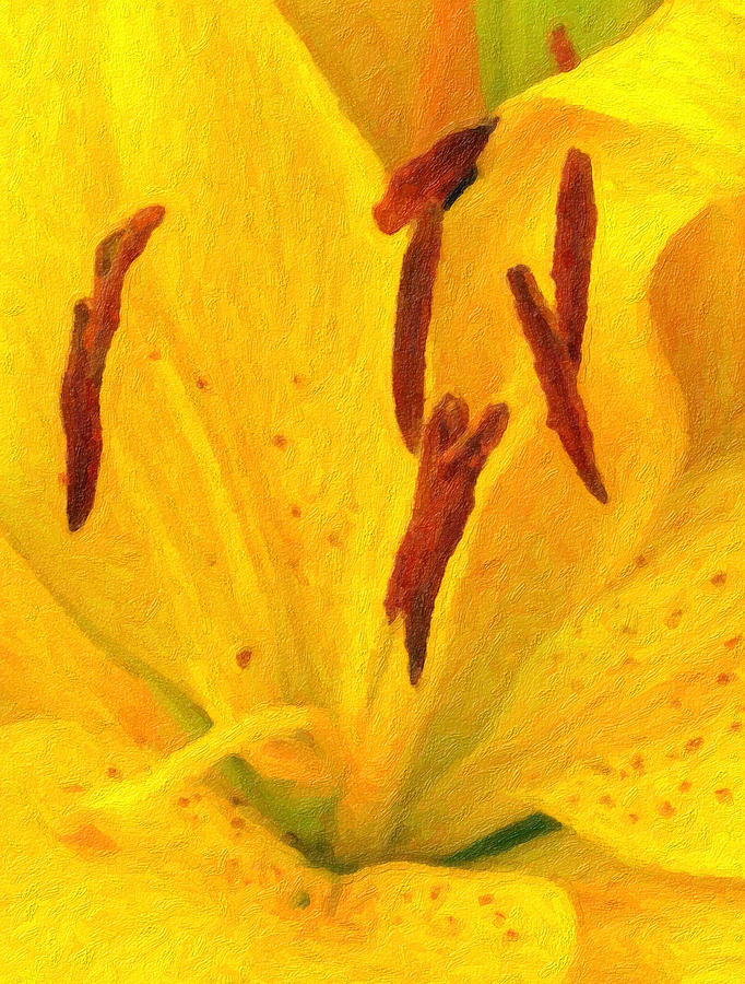 Center of a Lily - Digital Painting Effect Photograph by Rhonda Barrett