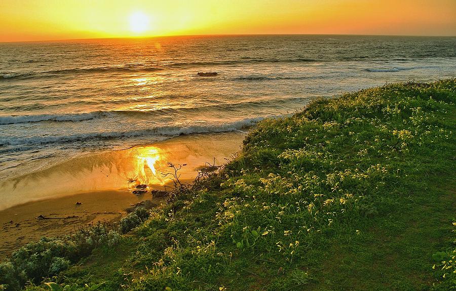 Central Coast Sunset Photograph by Steve Luther - Pixels