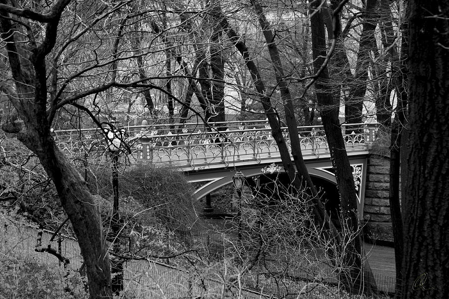 Central Park 2 Black and White Photograph by Chris Thomas