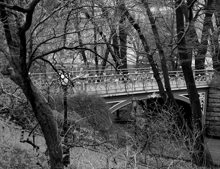 Central Park 2.1 Black and White Photograph by Chris Thomas