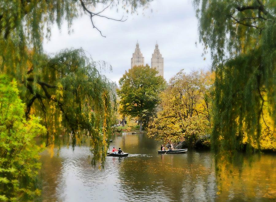 Central Park #7 Photograph by Diana Angstadt