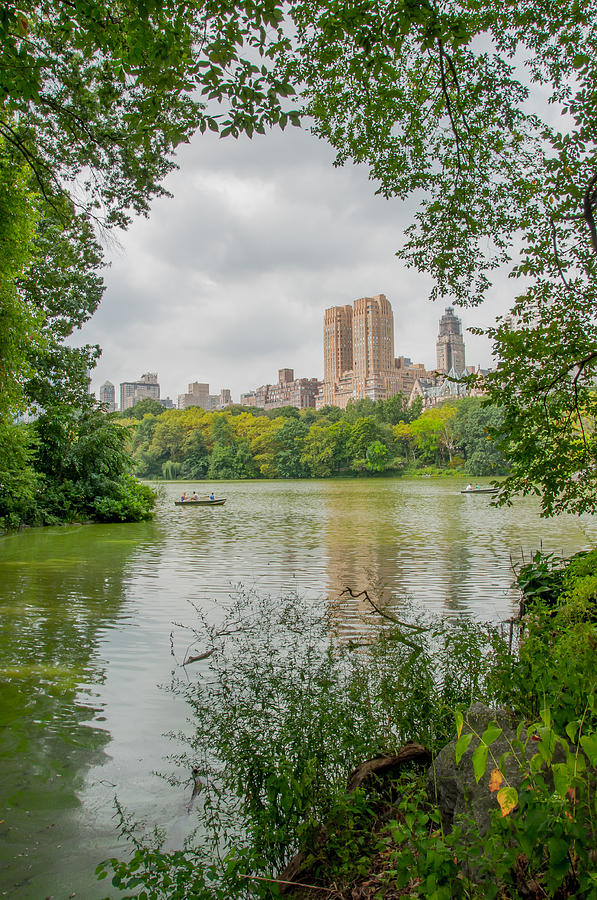 Central Park Photograph by Amel Dizdarevic - Pixels