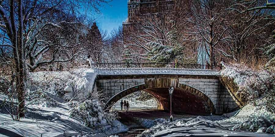 Central Park After Nemo Photograph by Chris Lord