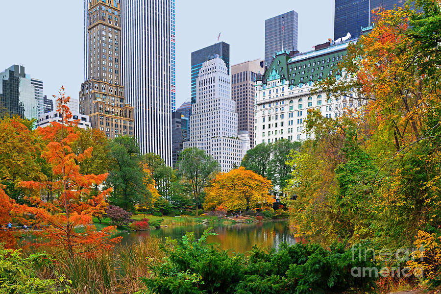 Central Park and Fifth Autumn View Photograph by Regina Geoghan - Fine ...