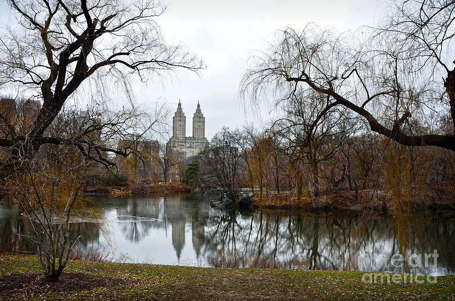 Central Park and San Remo building in the background Photograph by RicardMN Photography
