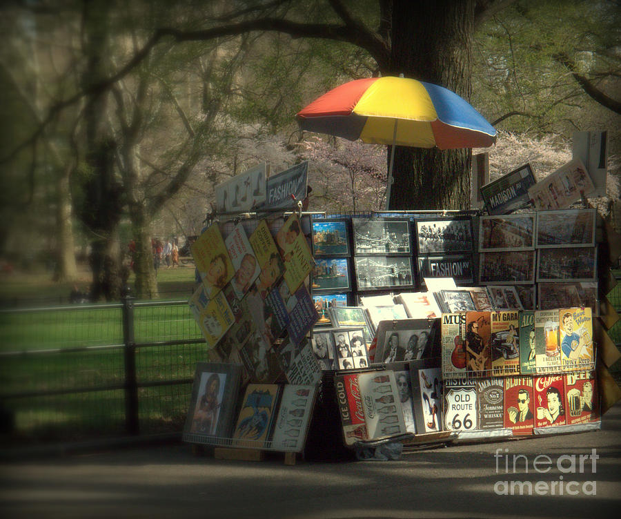Central Park - Art in the Park for Sale Photograph by Miriam Danar