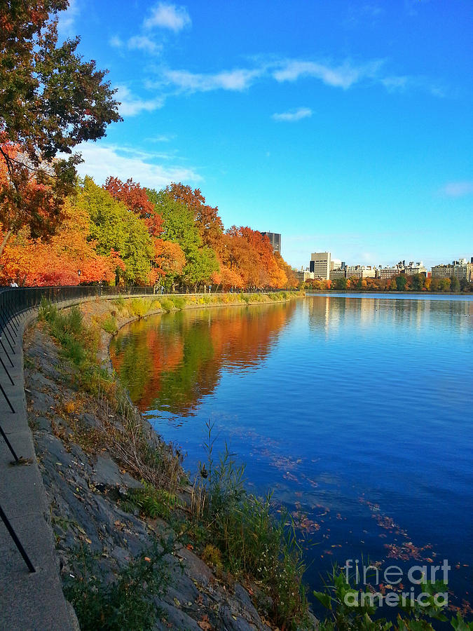 Central Park Autumn Landscape Photograph