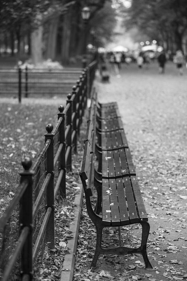 Central Park Bench Photograph by John McGraw