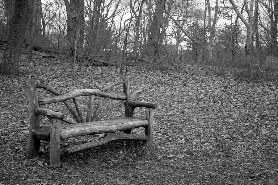 Central Park Bench Photograph by Jonathan Hopper | Fine Art America