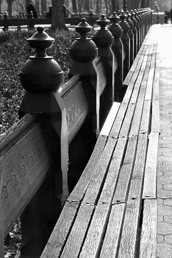 Central Park Benches Photograph by Jewels Hamrick