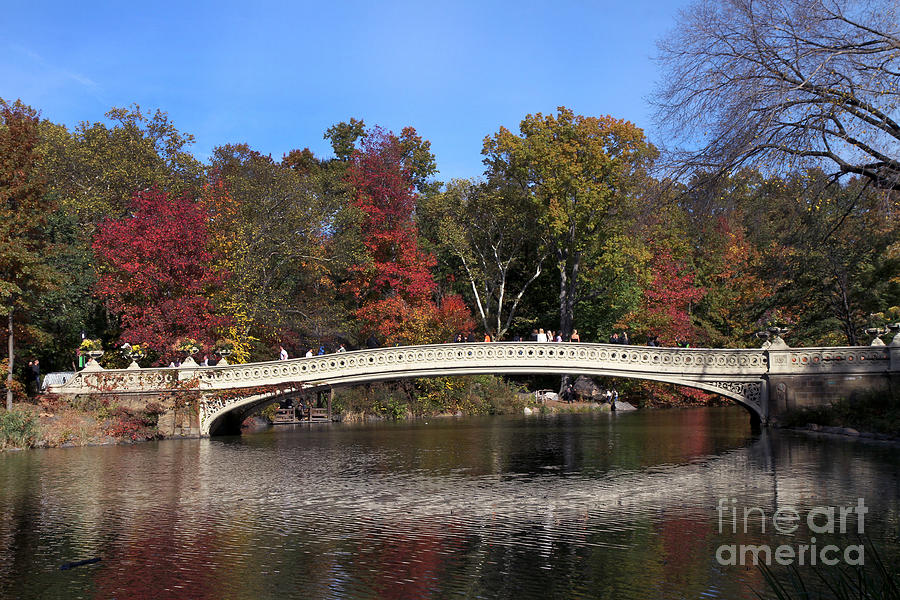 Central Park Bow Bridge Photograph by Steven Spak