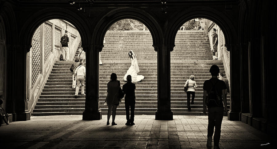 Central Park Bride Photograph by Madeline Ellis