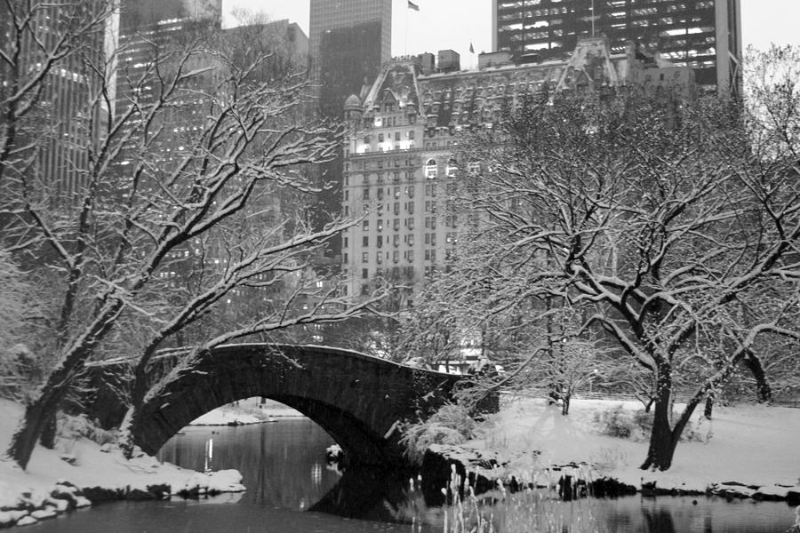 Winter Photograph - Central Park Bridge II by Nicholas Martucci