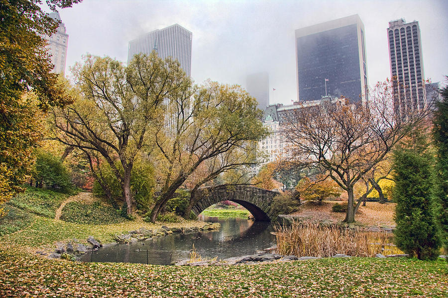 Tree Photograph - Central Park Bridge by June Marie Sobrito