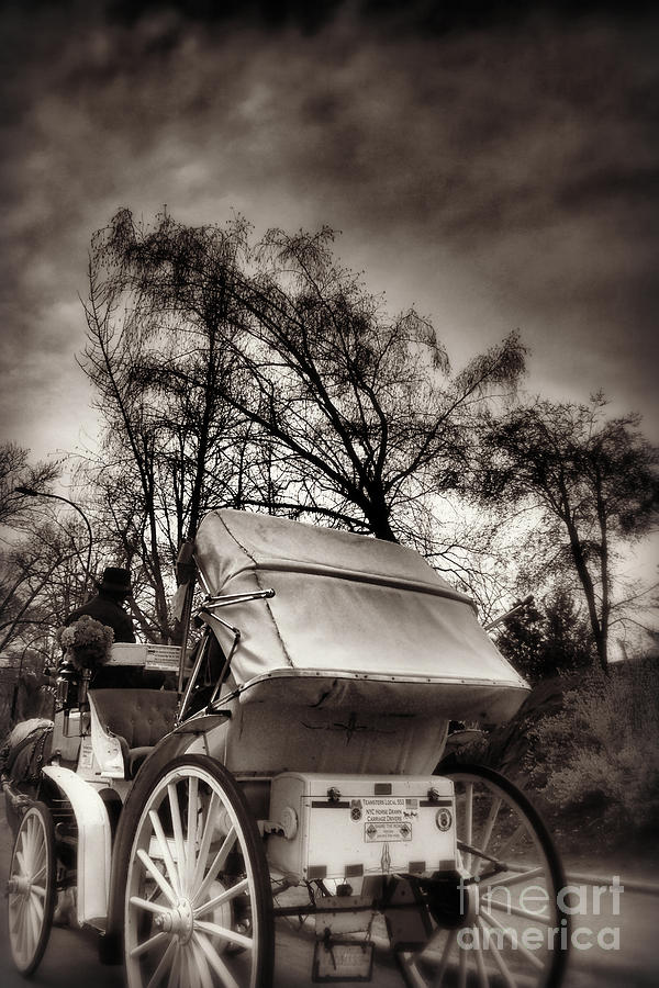 Central Park Carriage Ride 2 - Antique Appeal Photograph by Miriam Danar
