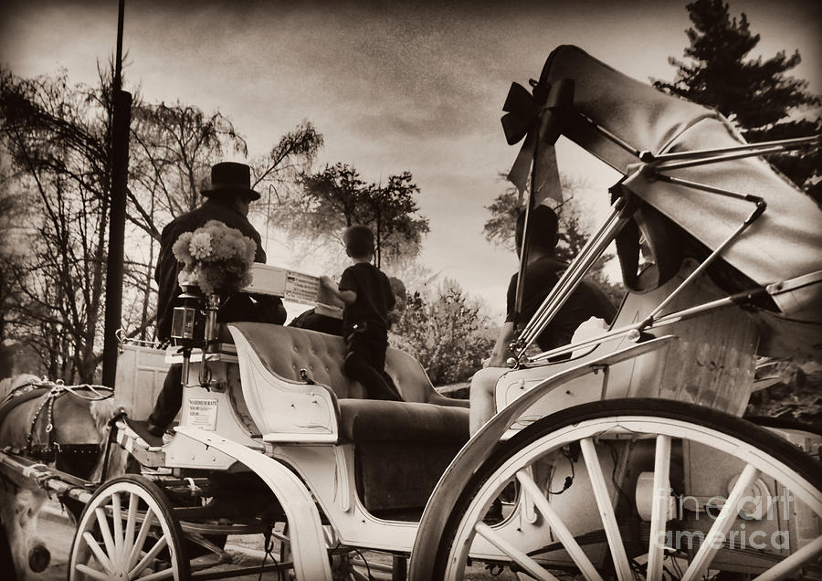 Central Park Carriage Ride - Antique Appeal Photograph by Miriam Danar