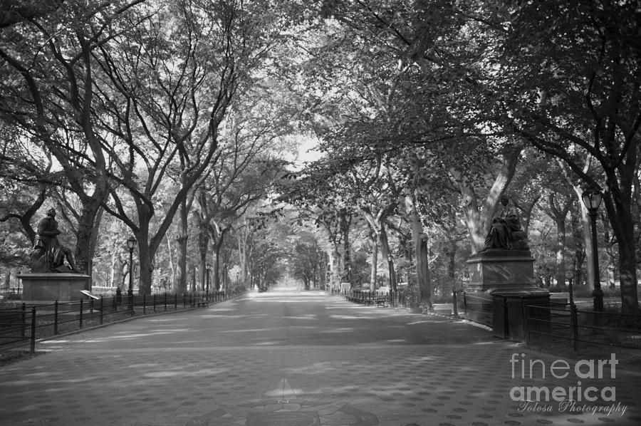 Central Park Photograph - Central Park by Christine Tolosa