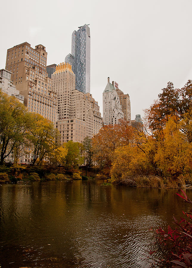 Central Park Photograph by David Pratt