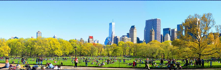 Central Park Panoramic View Digital Art by Don Kuing - Fine Art America