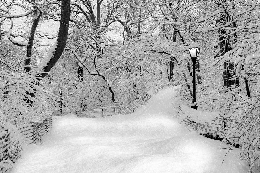 Central Park Dressed Up In White Photograph by Susan Candelario