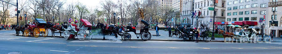 Central Park Horse Carriage Station Panorama Photograph by Thomas Marchessault