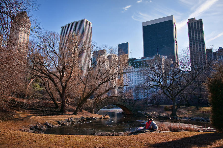 Central Park, New York City Photograph by Ian Good