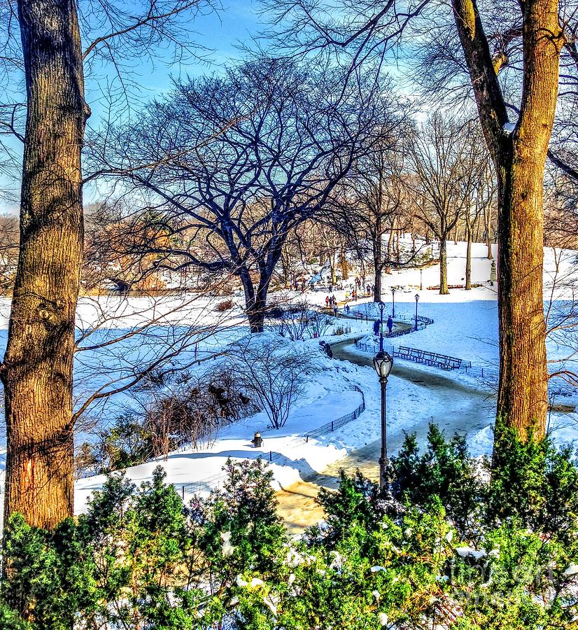 Central Park II Photograph by Debbi Granruth