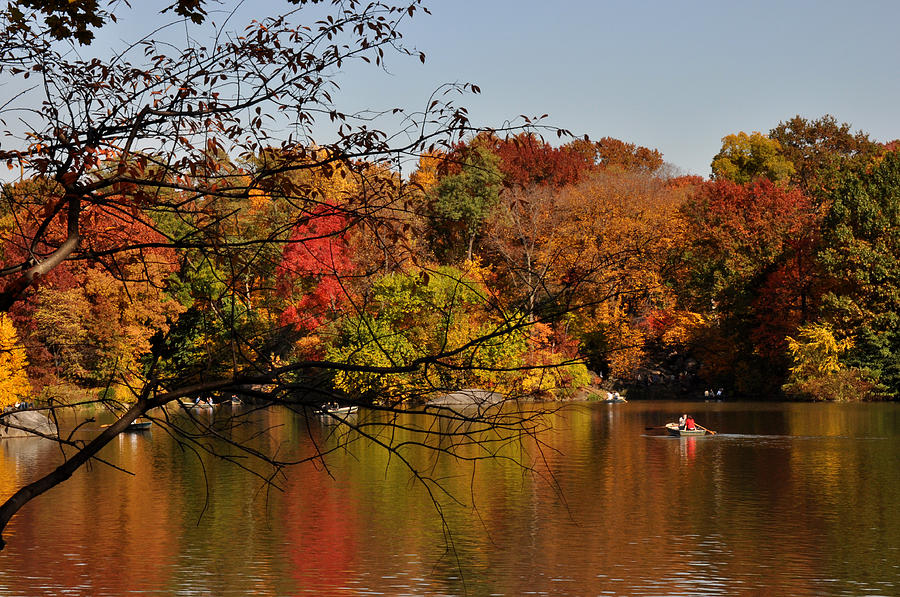 Central Park in Autumn Photograph by Diane Lent