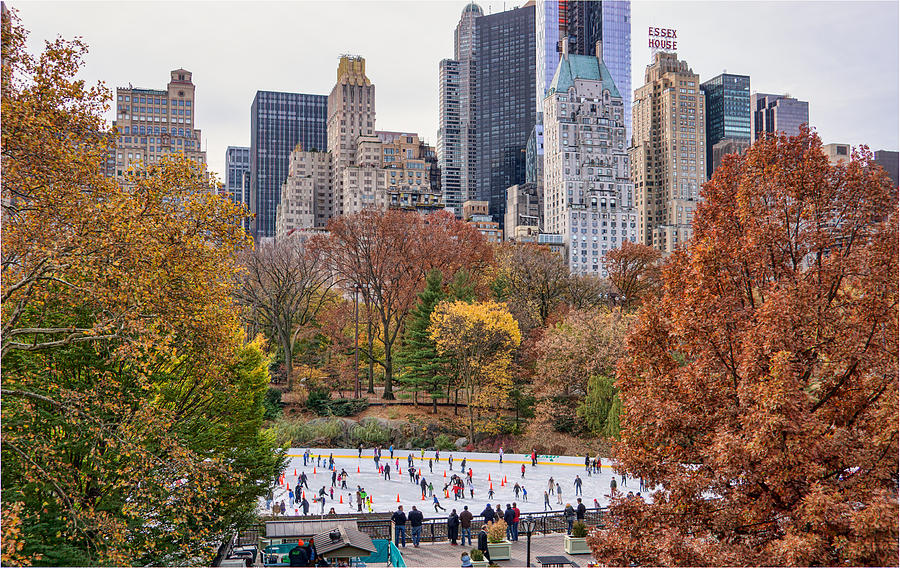 Fall Photograph - Central Park in Autumn by June Marie Sobrito