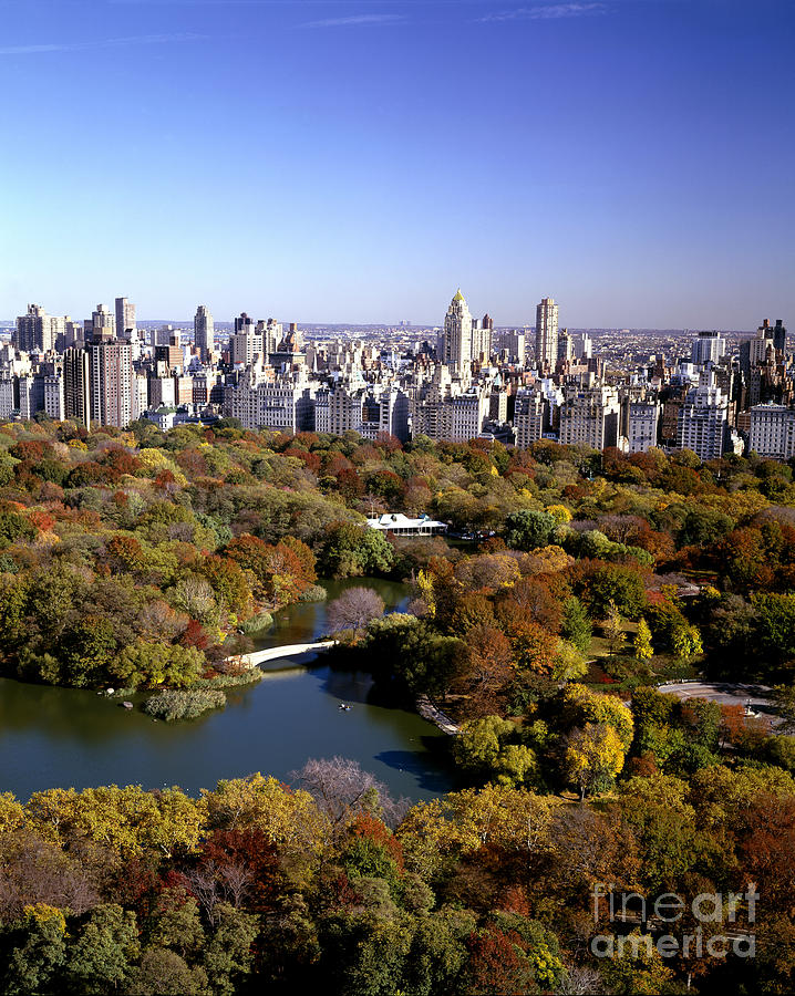 Central Park In Autumn. Nyc Photograph by Rafael Macia
