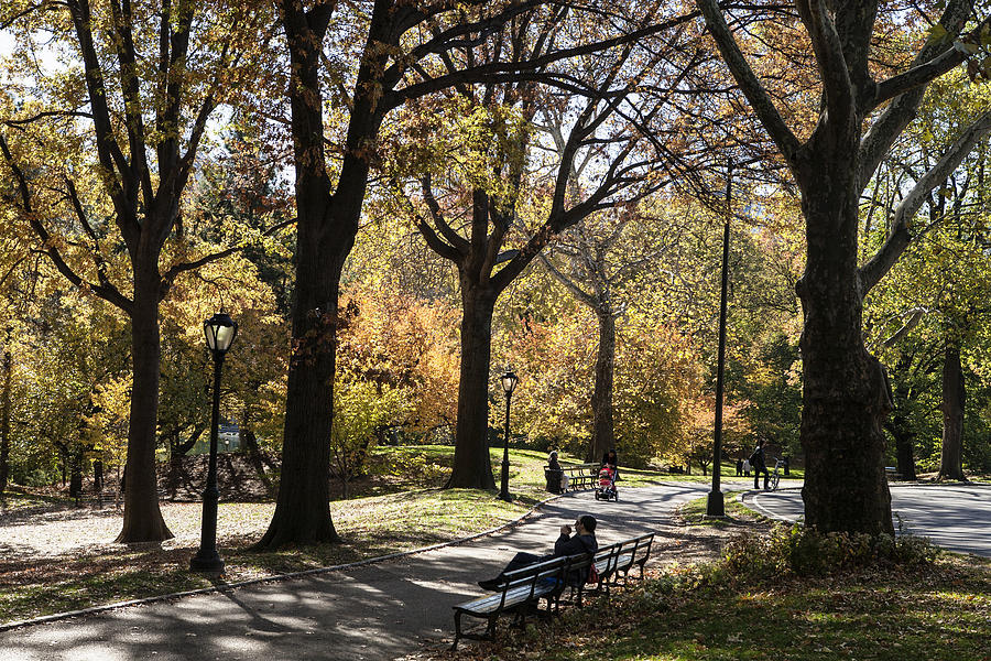 Central Park in Fall Digital Art by Kevin Hayden - Fine Art America