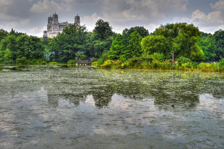 Central Park in New York NY USA Photograph by Paul James Bannerman
