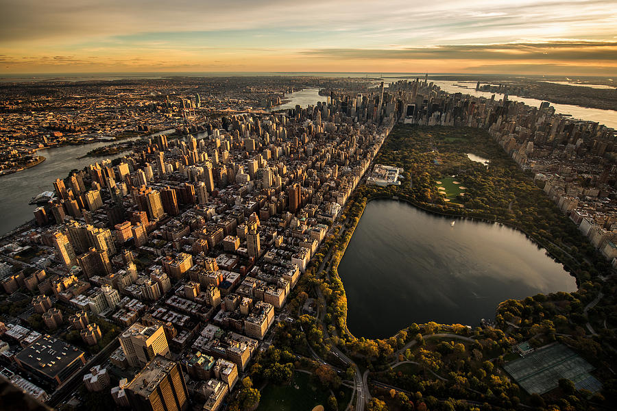 Central Park in New York Photograph by Predrag Vuckovic