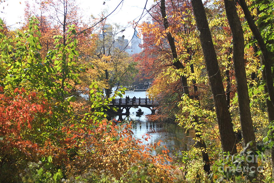 Central Park in the fall-2 Digital Art by Steven Spak