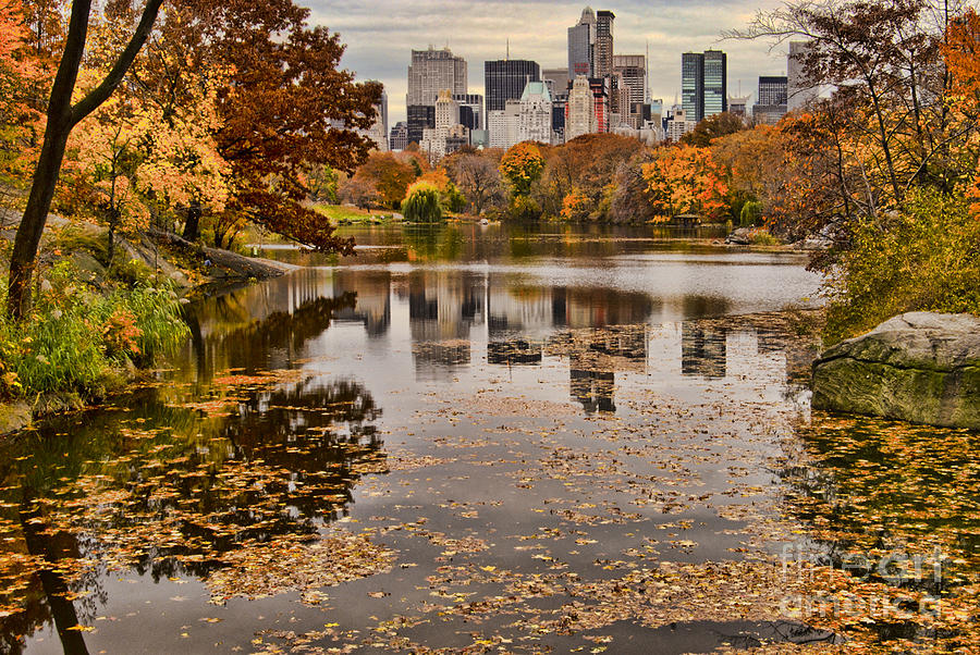 Central Park in the Fall New York City Photograph by Sabine Jacobs