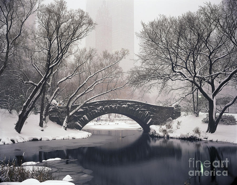 Central Park In The Snow Photograph by Rafael Macia
