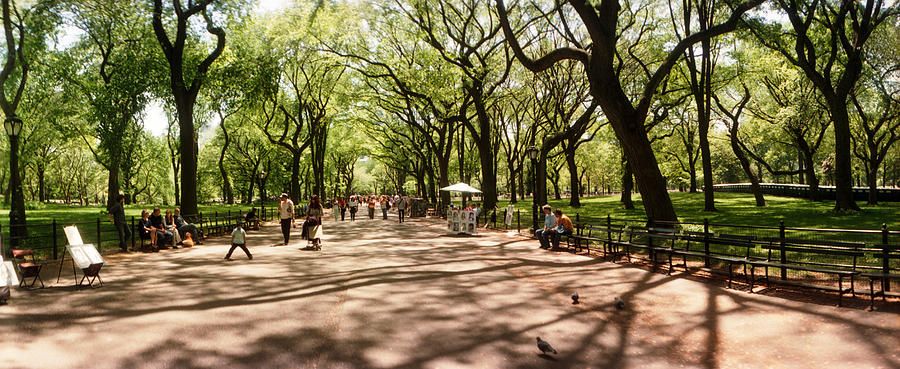 Central Park Photograph - Central Park In The Spring Time, New by Panoramic Images