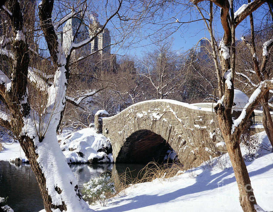 Central Park In Winter Photograph by Rafael Macia