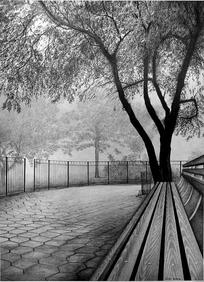 Central Park Drawing by Jerry Winick Fine Art America